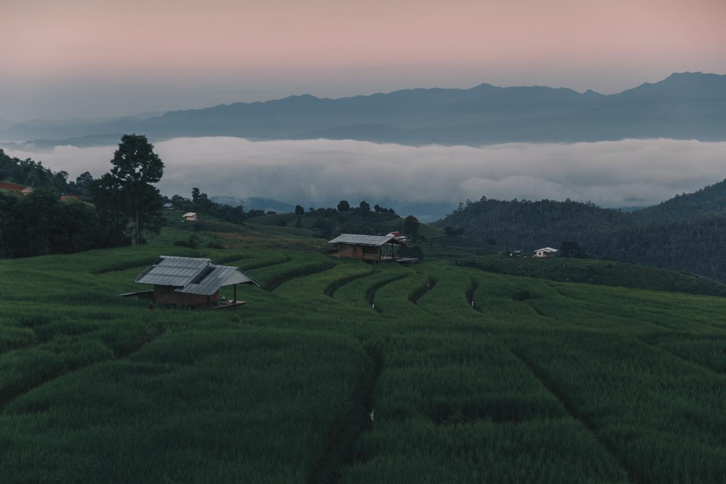 ป่าบงเปียง