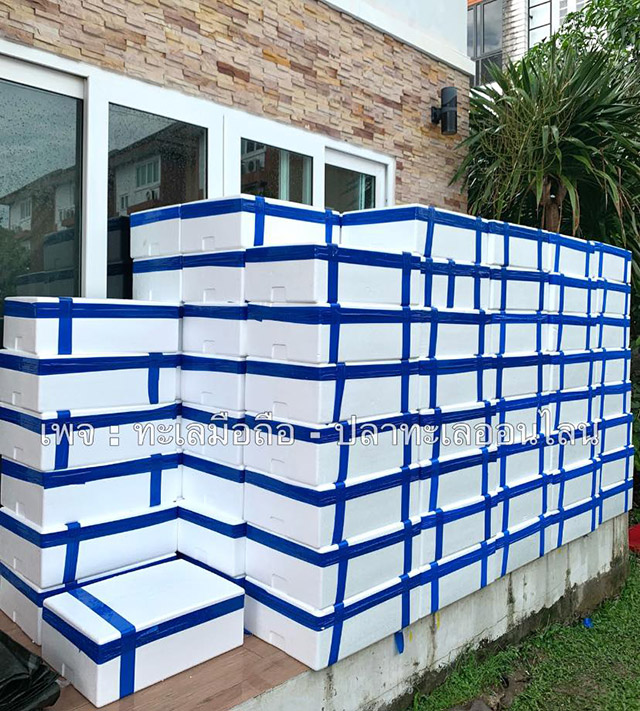 กล่องสุ่มอาหารทะเล