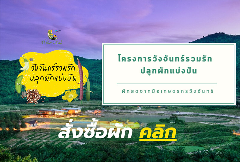 ผักวังจันทร์