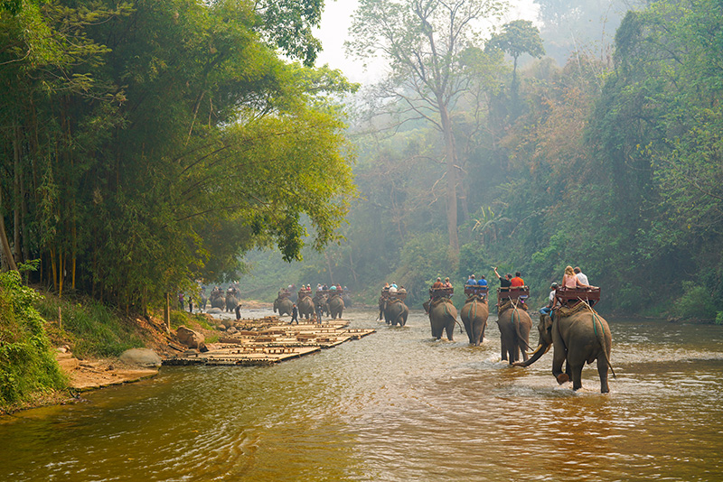 ปางช้างแม่แตง สถานที่ถ่ายทำหงสาวดี
