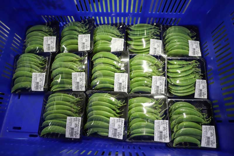 ผักสดเซเว่น