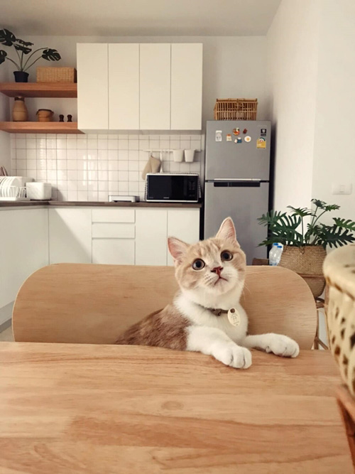 แบบห้องครัวสไตล์โฮมคาเฟ่