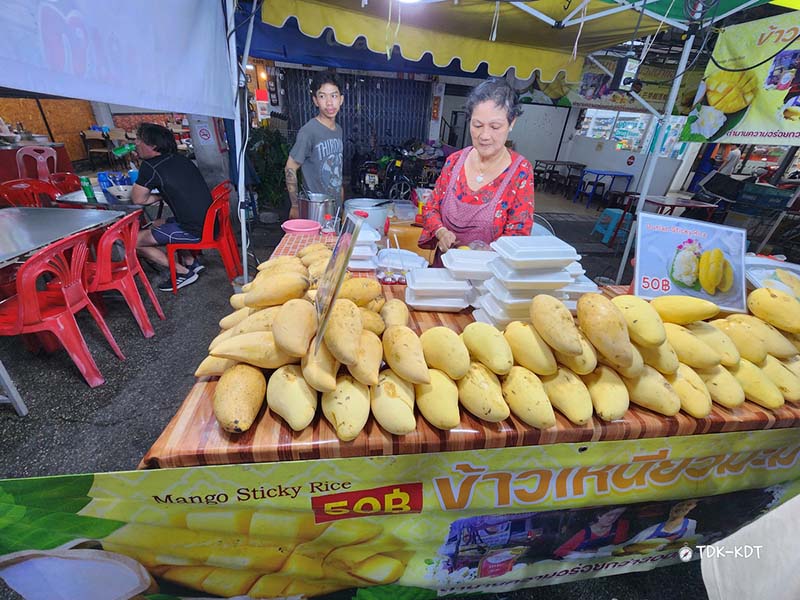 ตลาดโต้รุ่งช้างเผือก, ตลาดโต้รุ่งประตูเชียงใหม่, กาดหลวงกลางคืน
