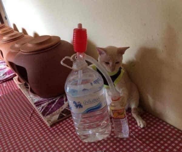 ทำงานบ้าน