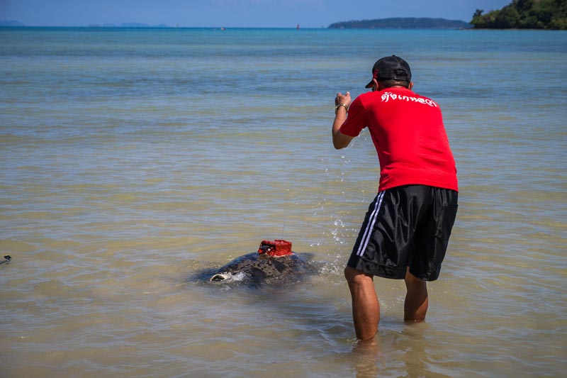 คุณปู่เต่าตนุเป้แดง