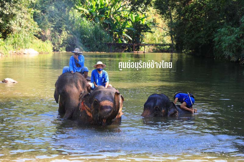 ที่เที่ยวลำปาง Lampang