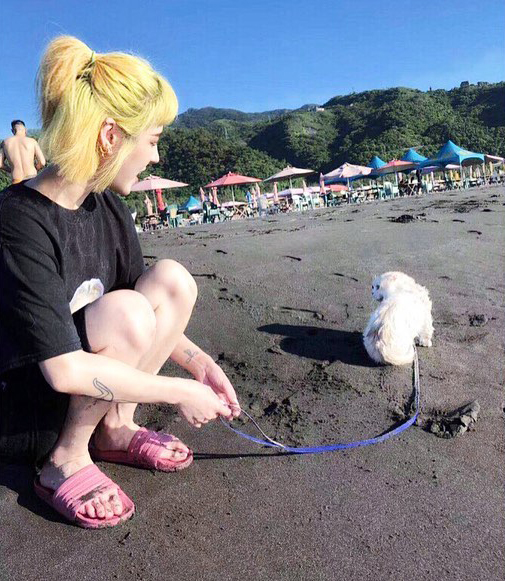 แมวไปทะเล