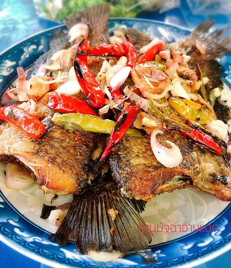 ร้านข้าวผัดปลาสลิด