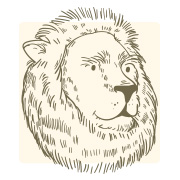 สีเล็บเสริมดวง