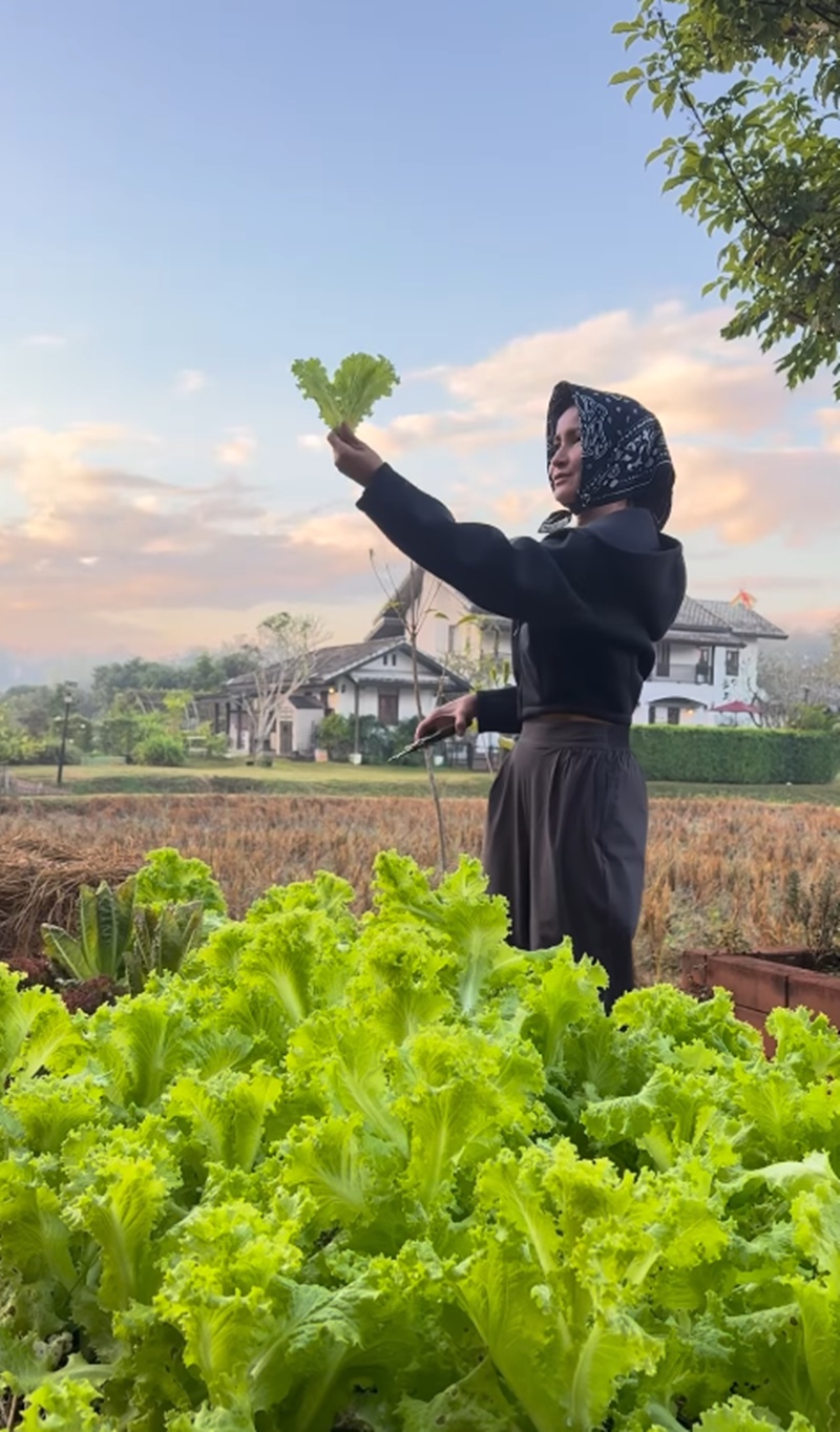 แอน ทองประสม