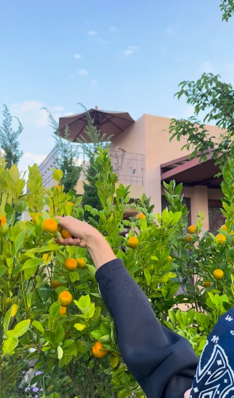 แอน ทองประสม