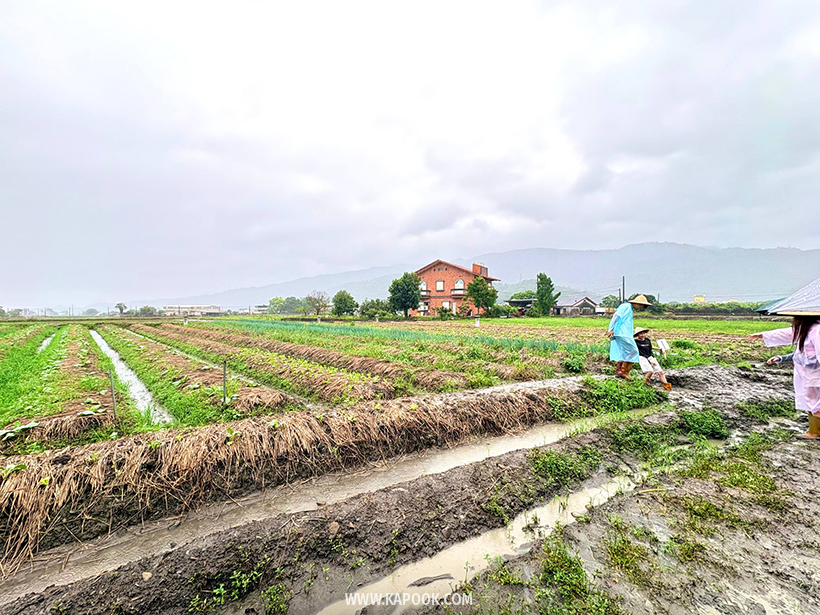 เที่ยวไต้หวัน 4 วัน 3 คืน