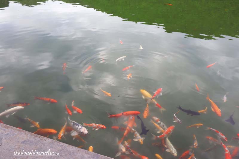 โรงแรมอวตาร มิราเคิลส์  