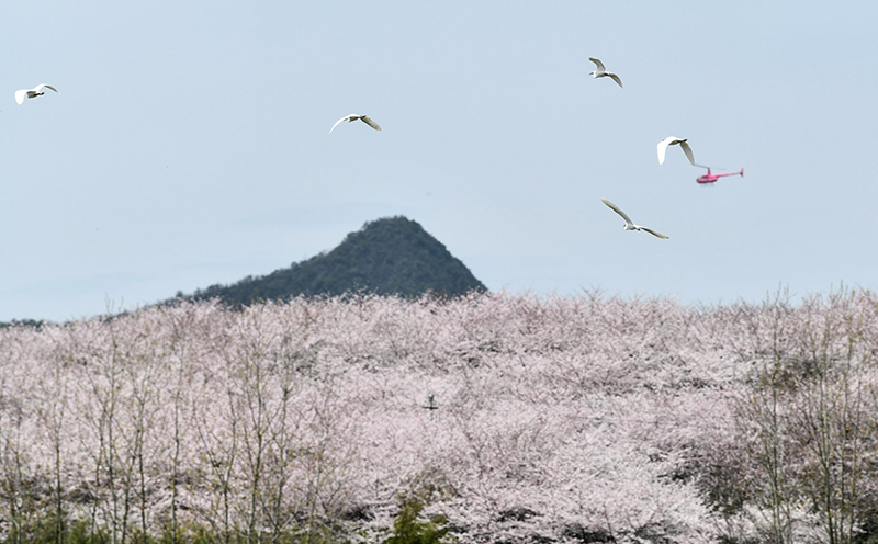 เที่ยวจีน