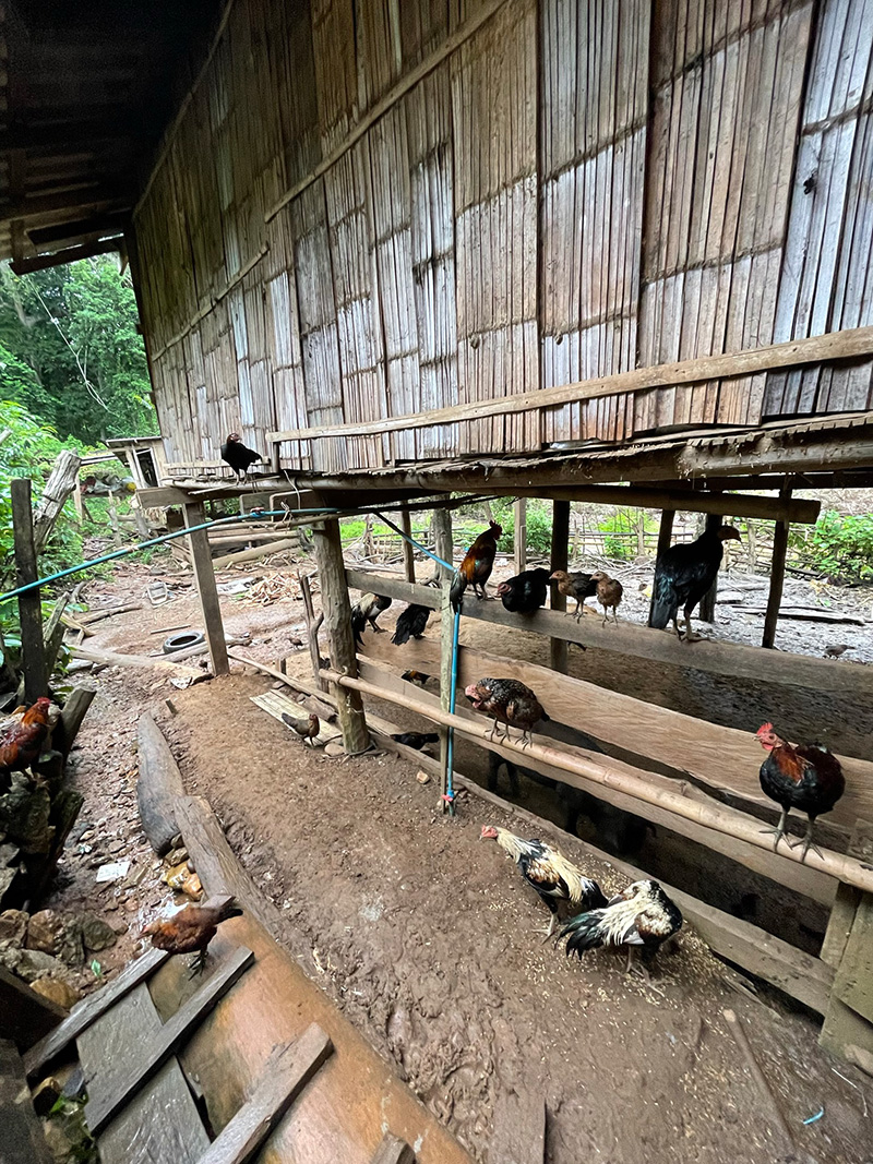 หมู่บ้านโป่งแง้น เชียงใหม่