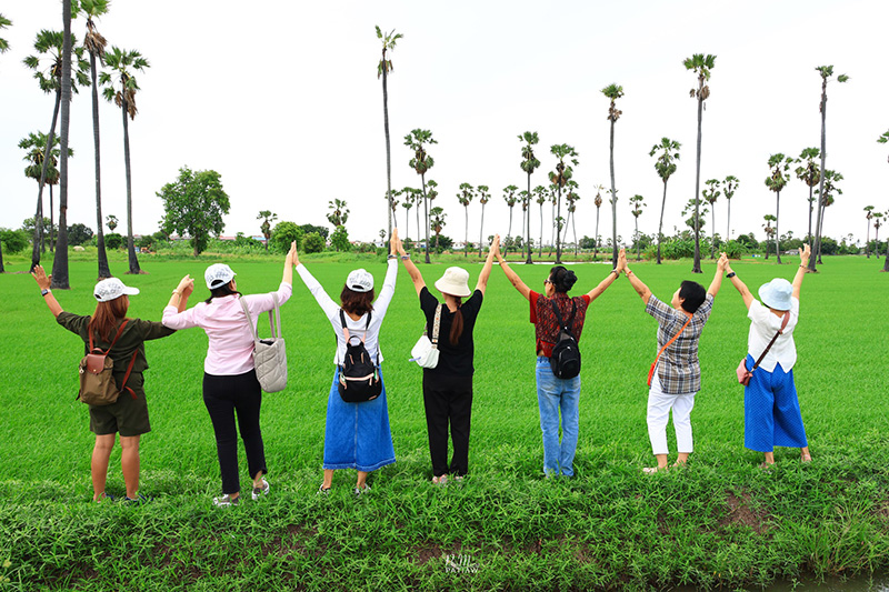 จุดชมวิวดงตาลสามโคก