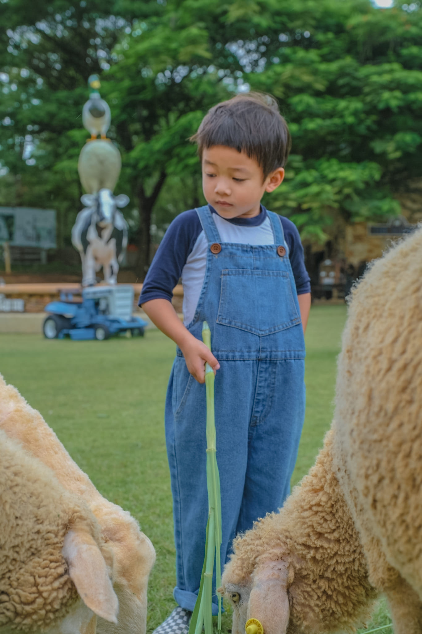 The Scenery Vintage Farm