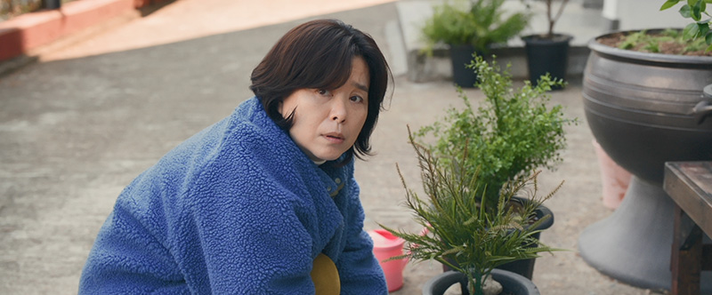 Number One นับหนึ่งถึงมื้อแม่ หนังเกาหลี หนังใหม่มีนาคม 2026 หนังใหม่ 2026 ภาพตัวอย่าง