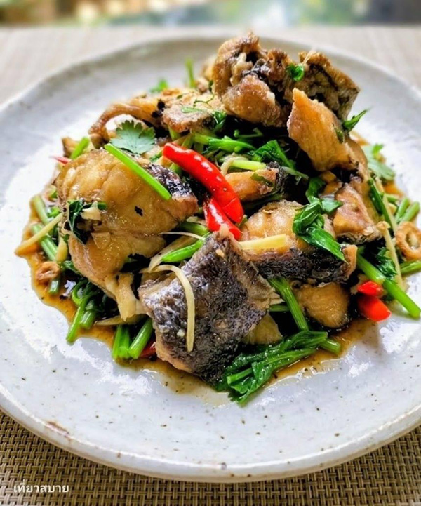 ปลาช่อนผัดขึ้นฉ่ายใส่ขิง เมนูปลาช่อน เมนูผัดขึ้นฉ่าย เมนูปลา สูตรอาหาร อาหารไทย