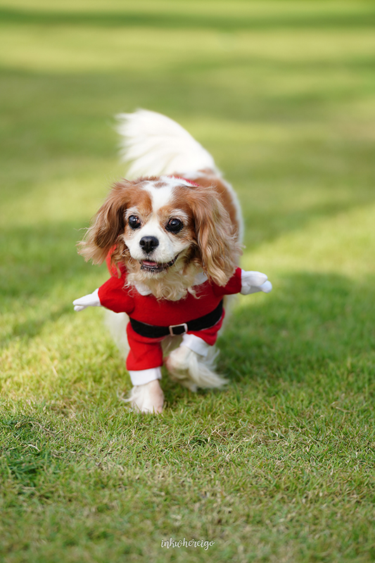 Hugmhaland ตลิ่งชัน