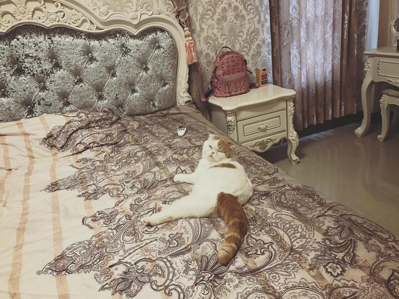 บ้านเบล ขนิษฐา