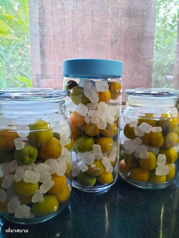 ไซรัปบ๊วย วิธีทำ Ume Syrup สูตรเครื่องดื่ม
