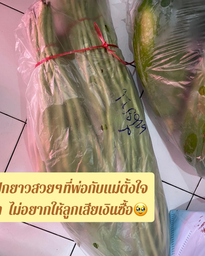 เปิดร้านส้มตำ