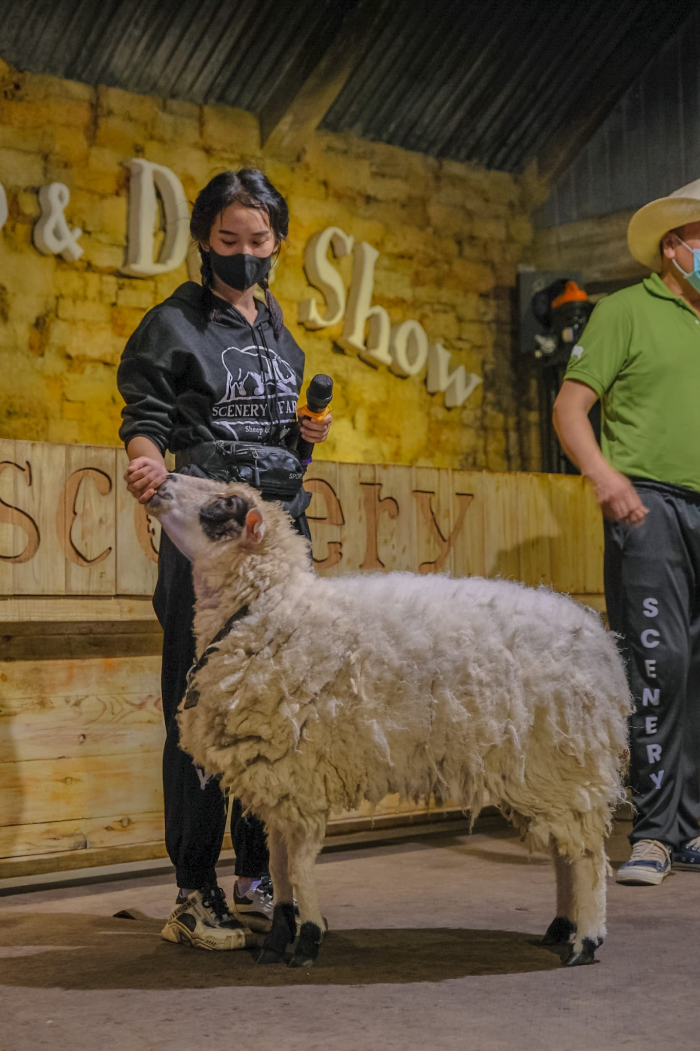 The Scenery Vintage Farm