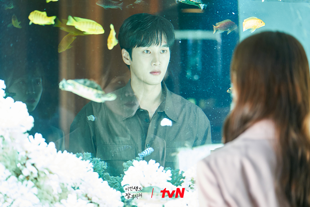 See You in My 19th Life