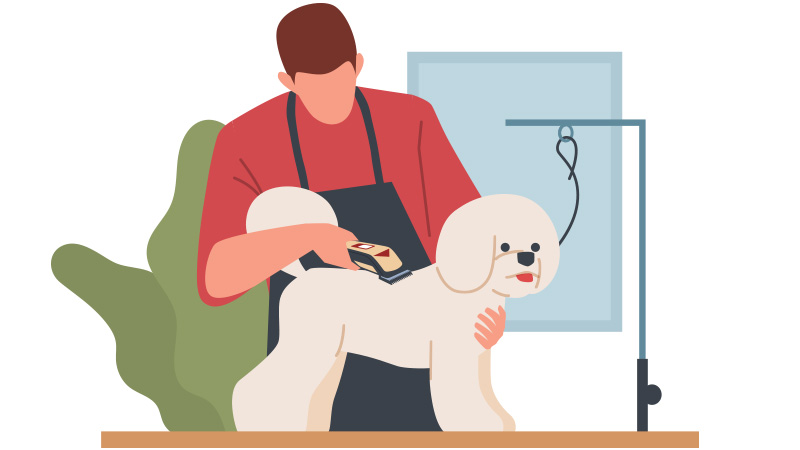 ร้านอาบน้ำตัดขนสัตว์เลี้ยง