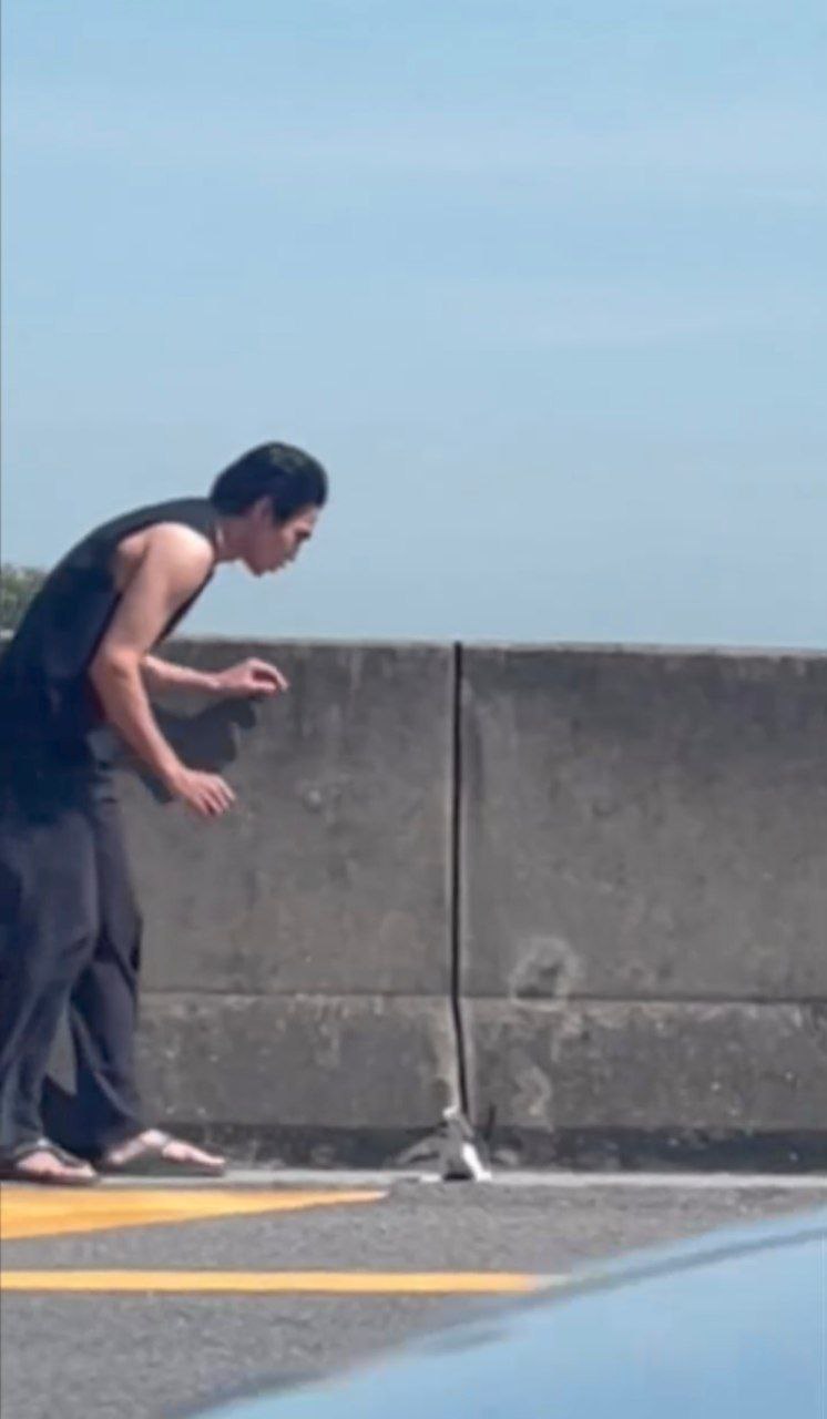 ก๊อต จิรายุ แมว