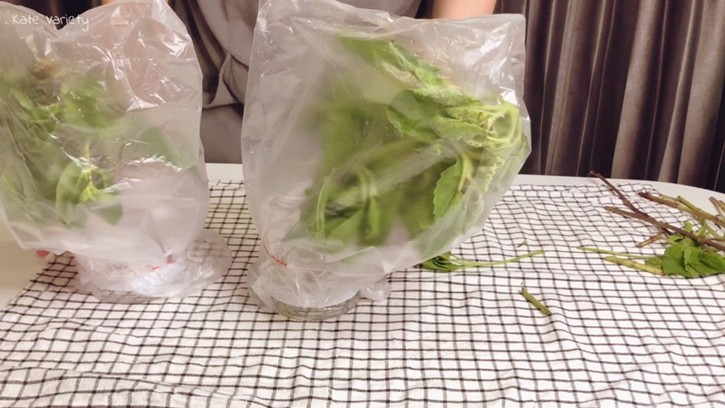 วิธีเก็บผักสด