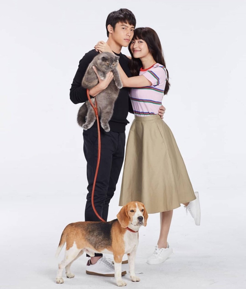 อกเกือบหักแอบรักคุณสามี