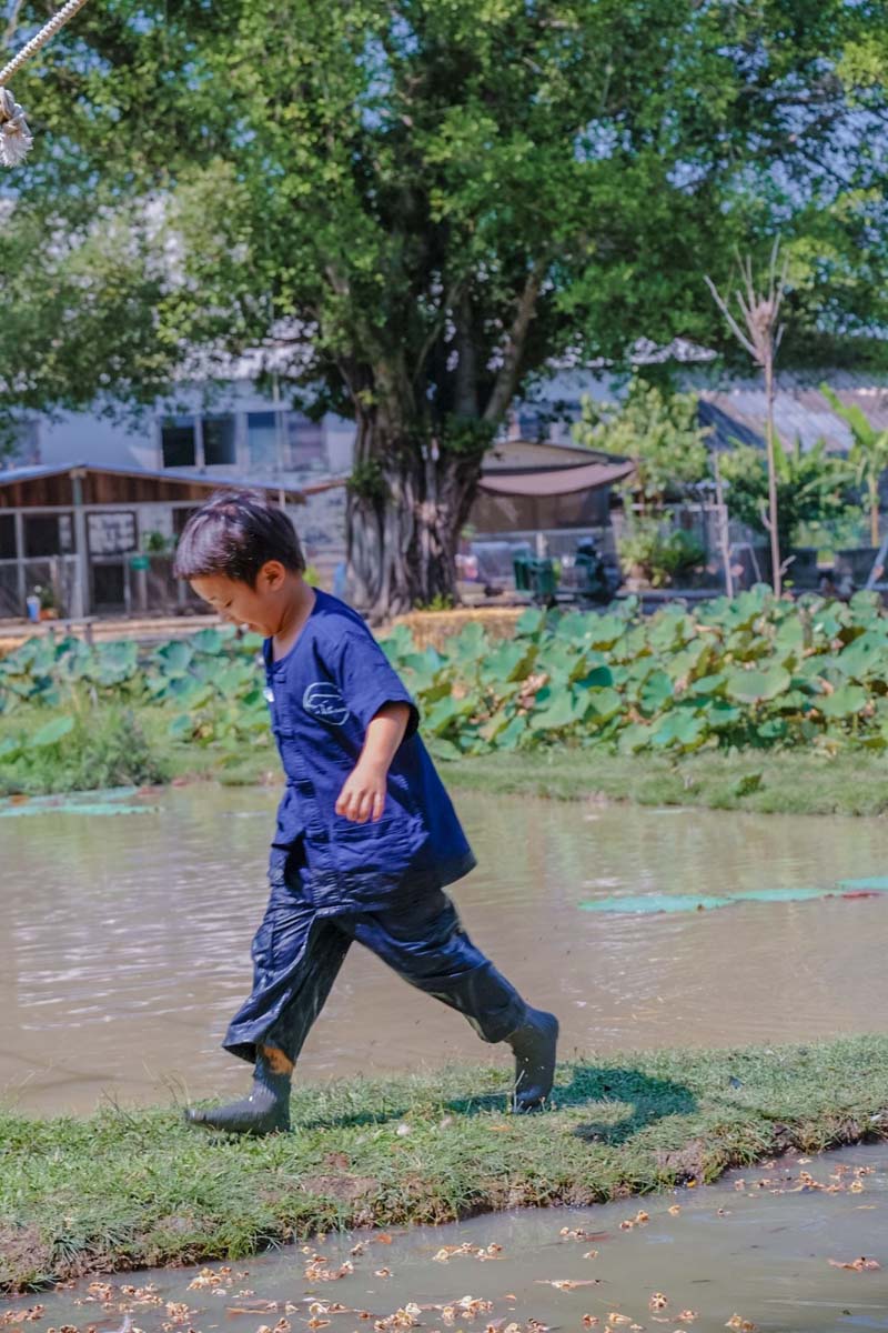 GFarm ฟาร์มและคาเฟ่เด็ก