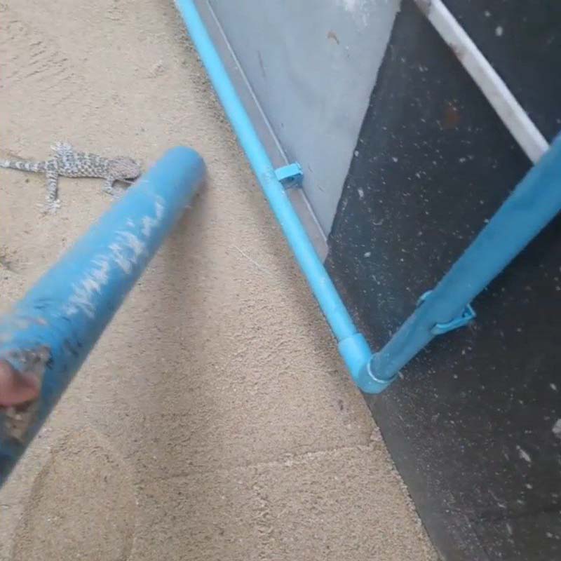 แน็ก ชาลี