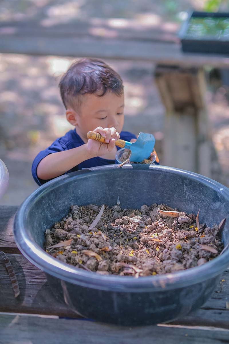 GFarm ฟาร์มและคาเฟ่เด็ก