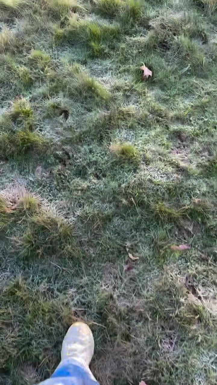 เบลล่า ฉลองหิมะแรกของปีกับ วิล