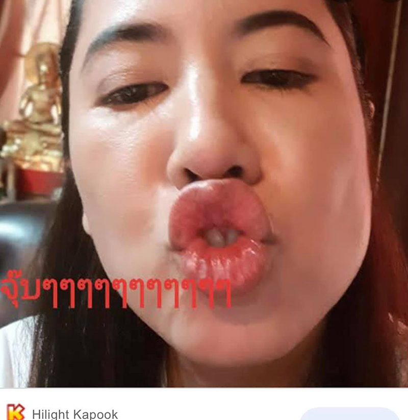 ณวัฒน์ อิสรไกรศีล ปารีณา ไกรคุปต์