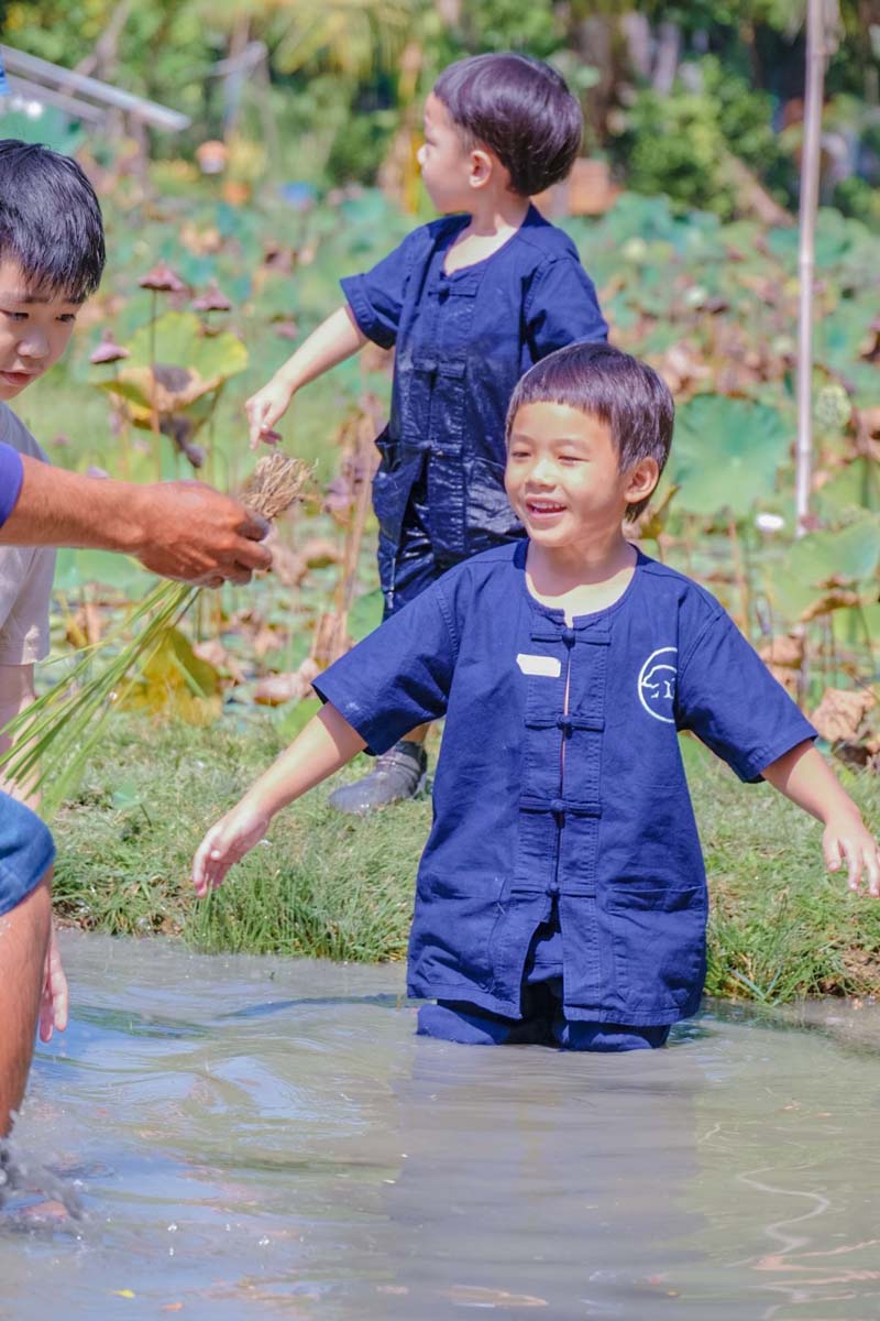 GFarm ฟาร์มและคาเฟ่เด็ก