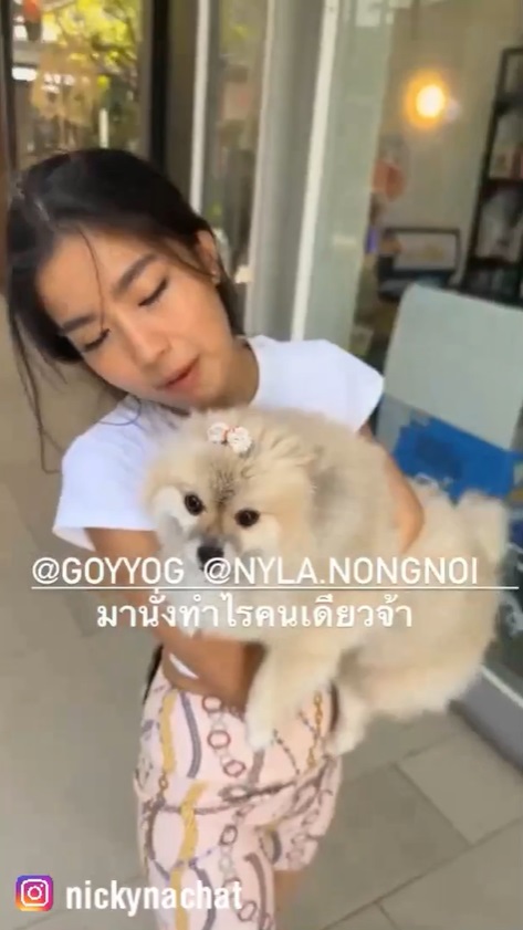 นิกกี้ ณฉัตร, ก้อย อรัชพ