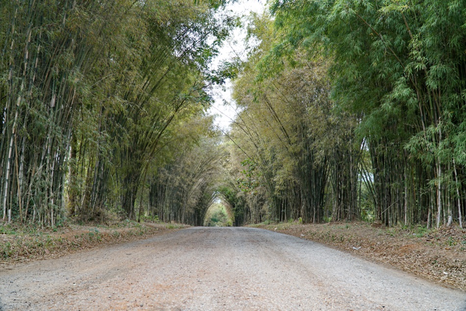 ไร่บีเอ็น - B.N. Farm