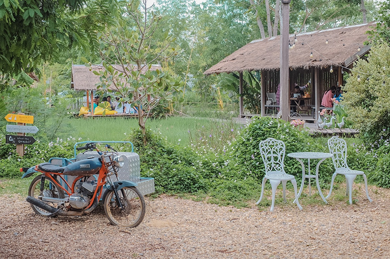 The Ugly Duckling Learning Farm