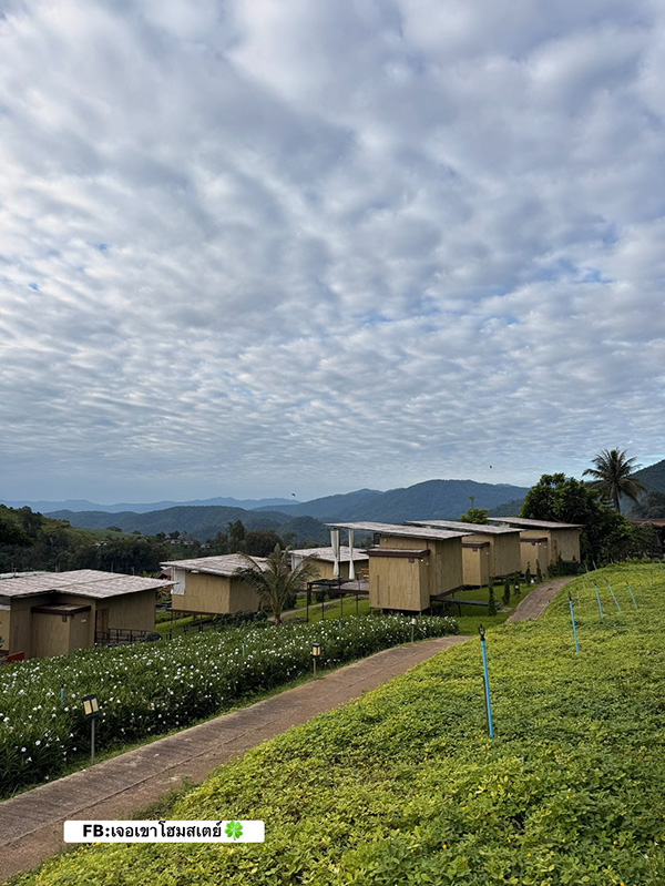 ที่พักหน้าหนาว 2568 เจอเขา โฮมสเตย์