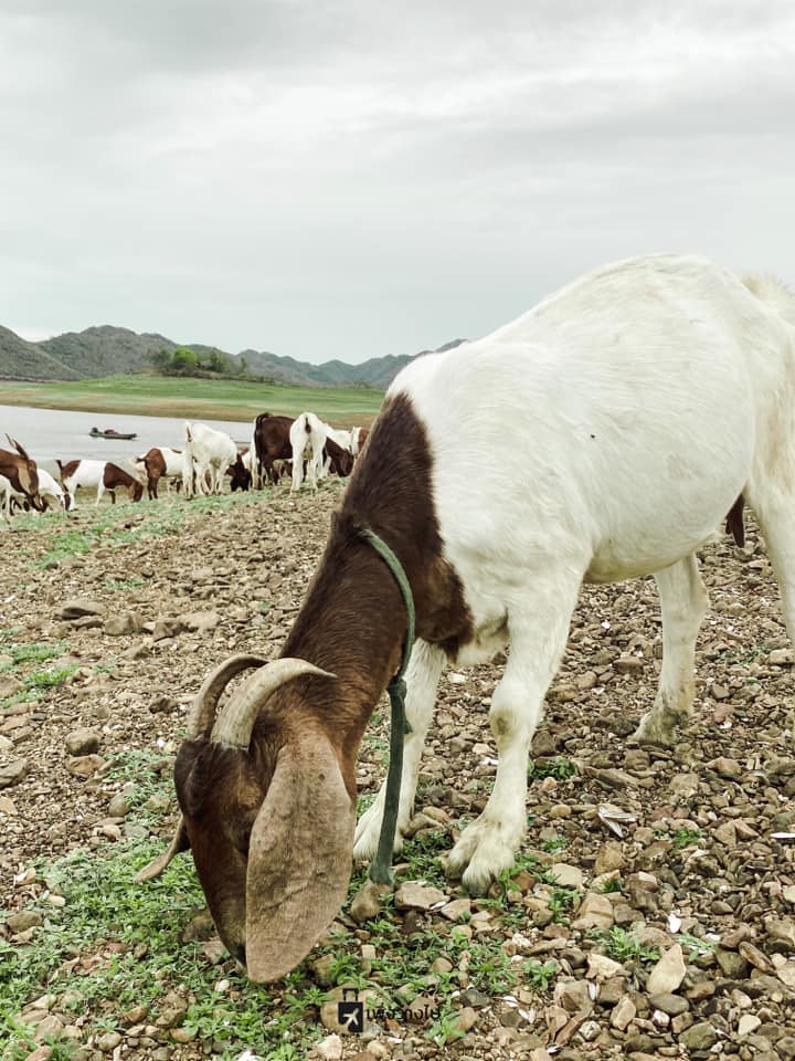 เขื่อนปราณบุรี