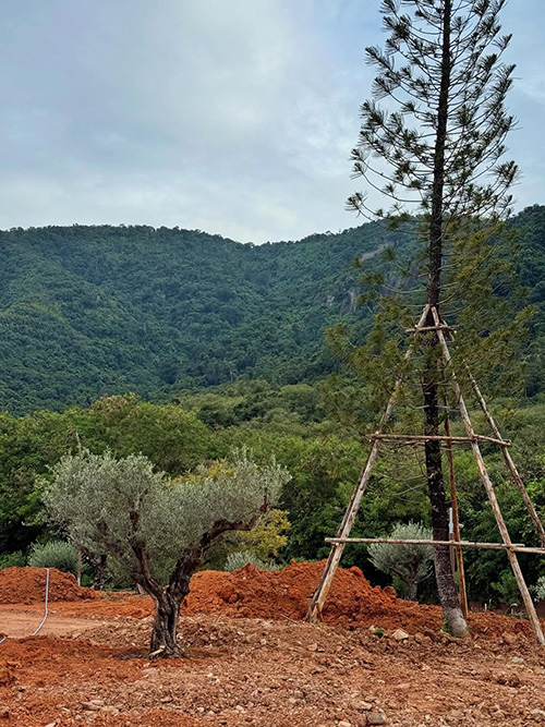 บ้านญาญ่า เขาใหญ่