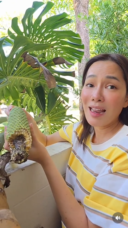 จอย รินลณี รีวิวกินผลมอนสเตอร่า