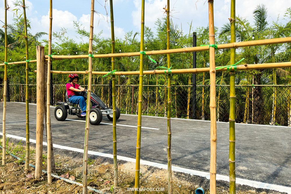 Pedal Go-Kart