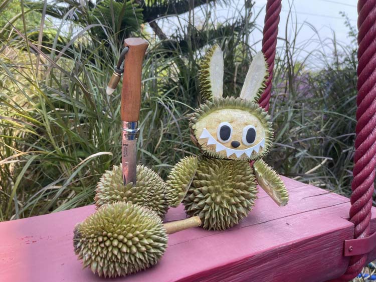 ทุเรียนบูบู้