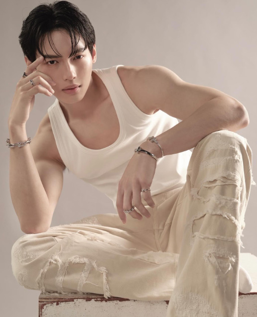 วิน เมธวิน ประวัติ