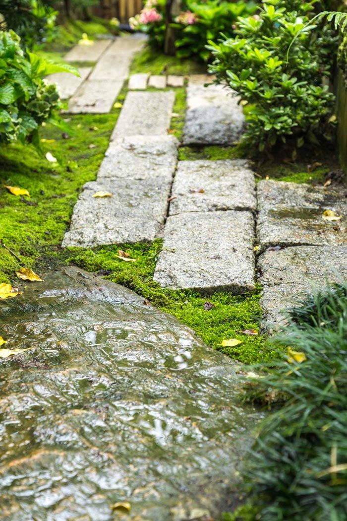 จัดสวนญี่ปุ่น